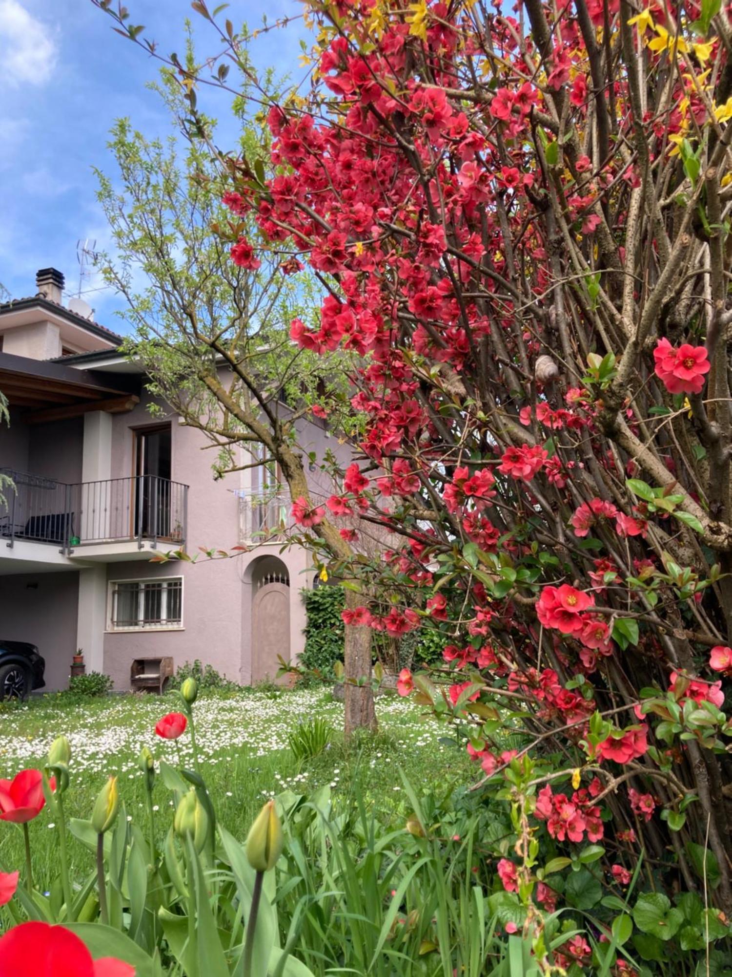 Appartement Al Clisi Graziosa Mansarda à Villanuova sul clisi Extérieur photo